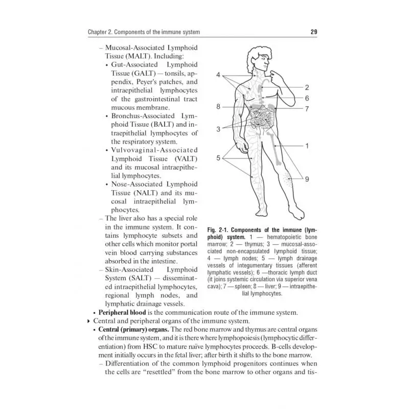 Фото Книга Immunology 2-е изд., перераб. Хаитов Рахим Мусаевич №3