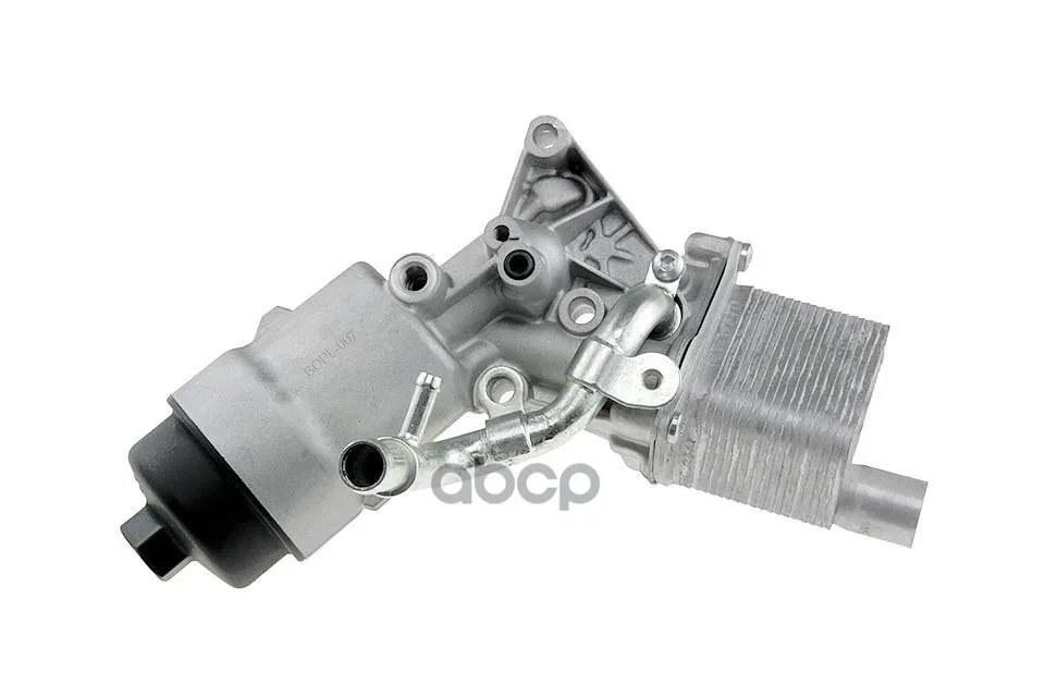 Ccl-Pl-007_радиатор Масляный! Bmw E39 95-03 NTY арт. CCLPL007