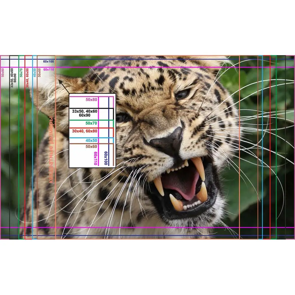 Фото LinxOne постер 