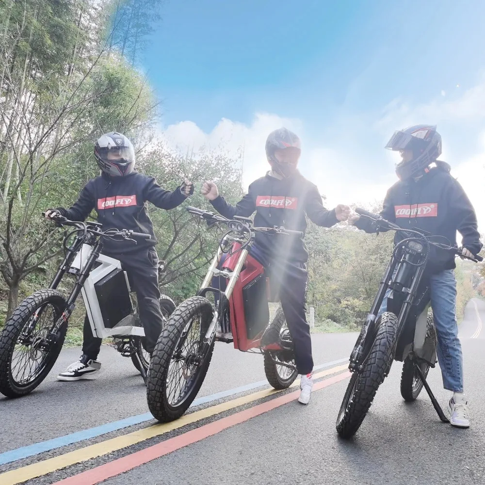 CE en15194, цена авиатора, Европейский велосипед sur ron bee, электрический мотоцикл sun ron ebike, 72 в, красный Электрический городской велосипед (art.: 3920ca4708f31) - 3920ca4708f31