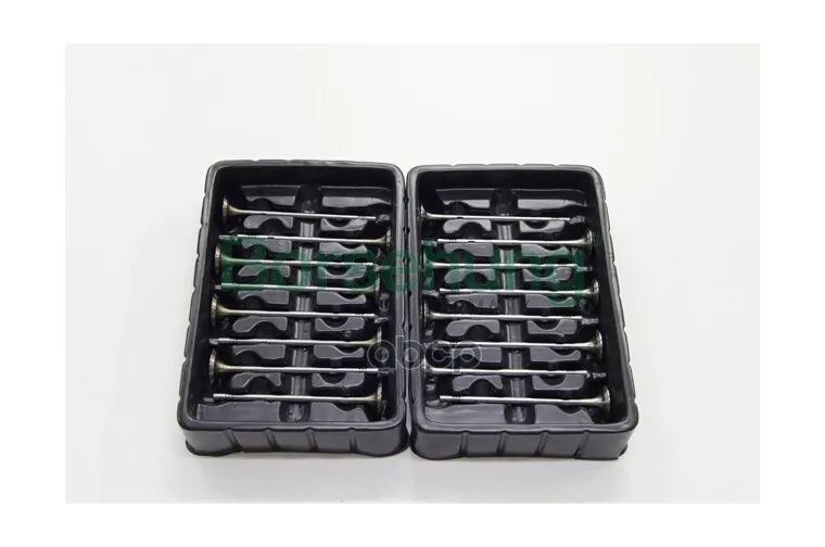 К-Кт Клапанов Впуск+Выпуск Audi/Seat/Skoda/Vw 1.2tsi/Tfsi 12 [Cjza/Cjzb/Cyva/Cyvb] BORSEHUNG арт. B18632