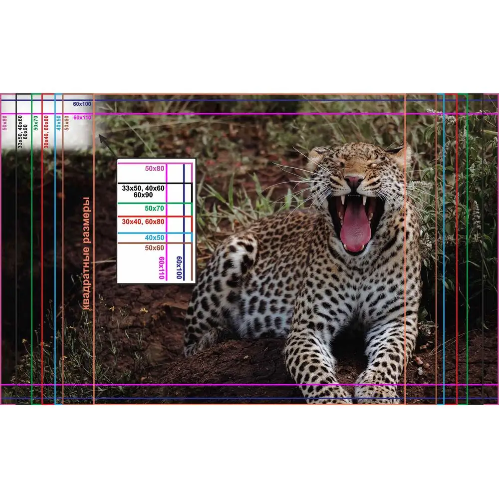 Фото LinxOne постер 