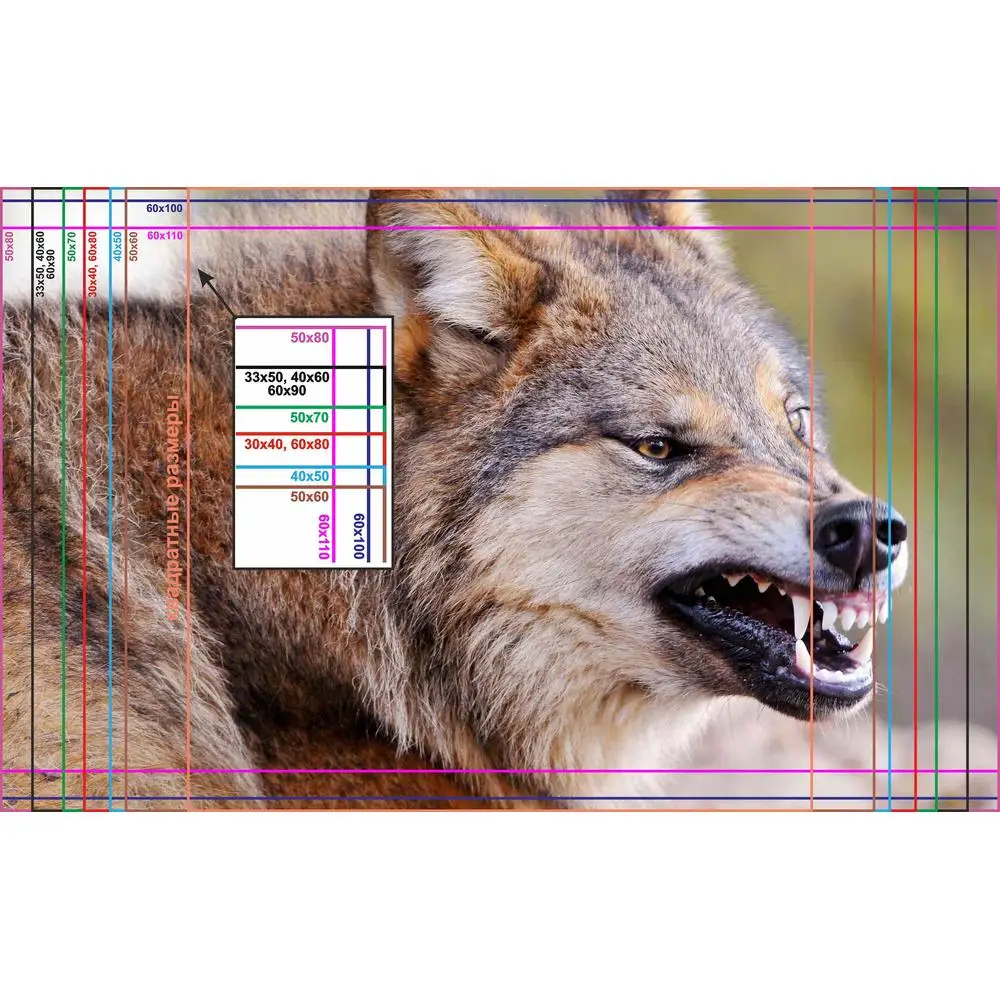Фото LinxOne постер 
