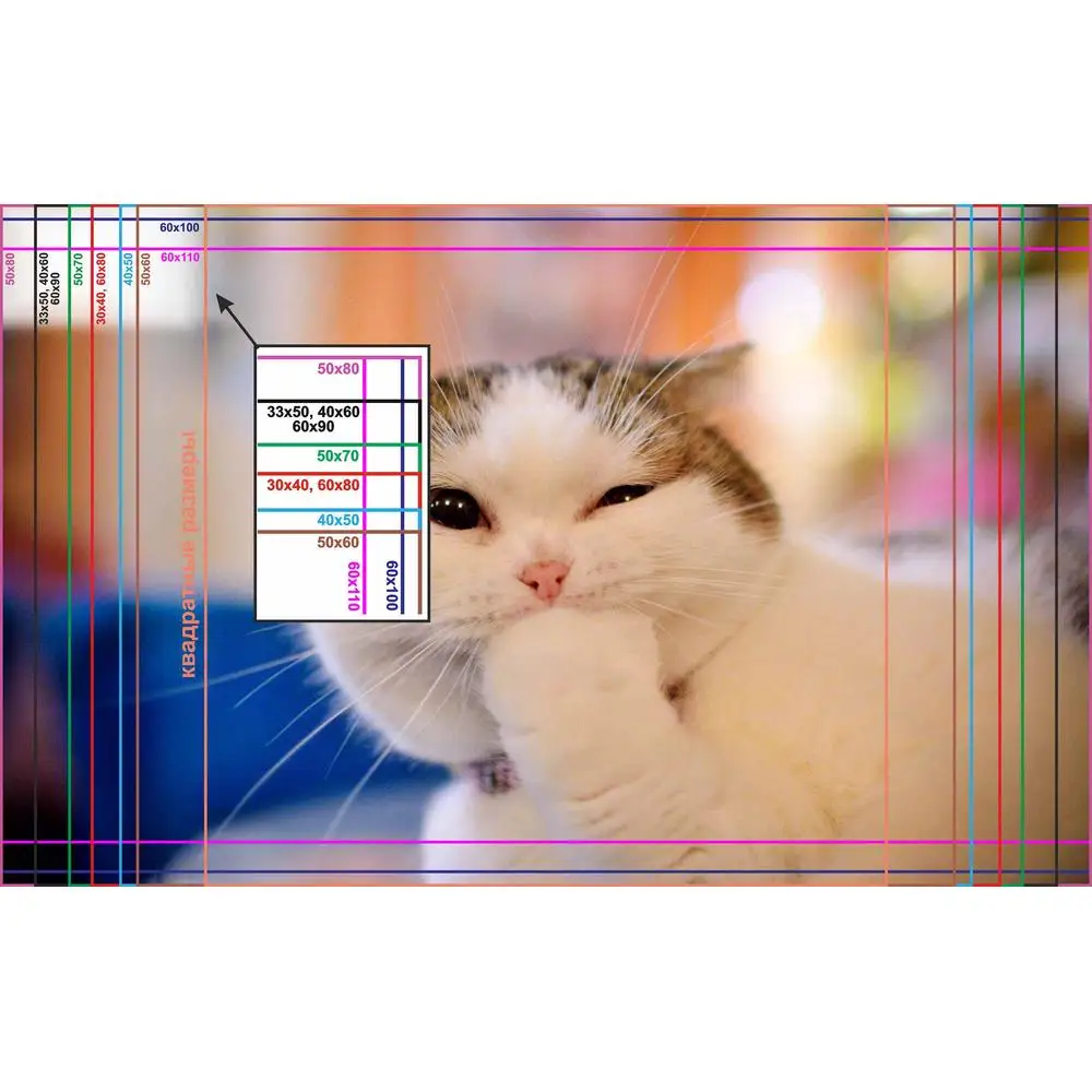 Фото LinxOne постер 