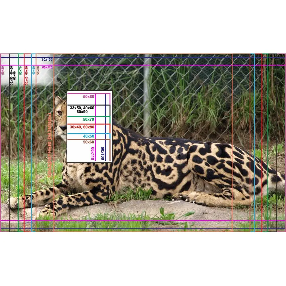Фото LinxOne постер 