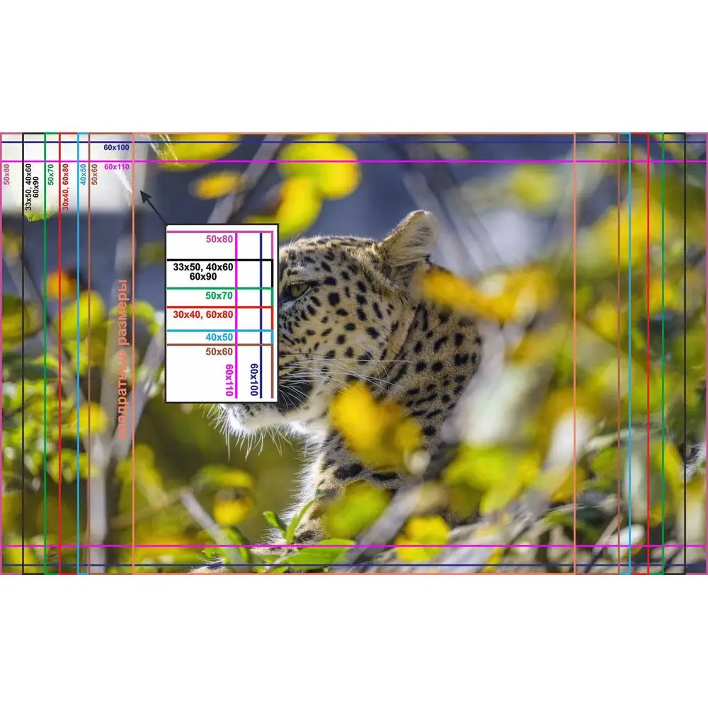 Фото LinxOne постер 