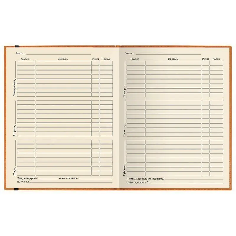Фото Дневник 1-11 класс, кожзам (лайт), тиснение, резинка, ляссе, 48 л, АЛЬТ 