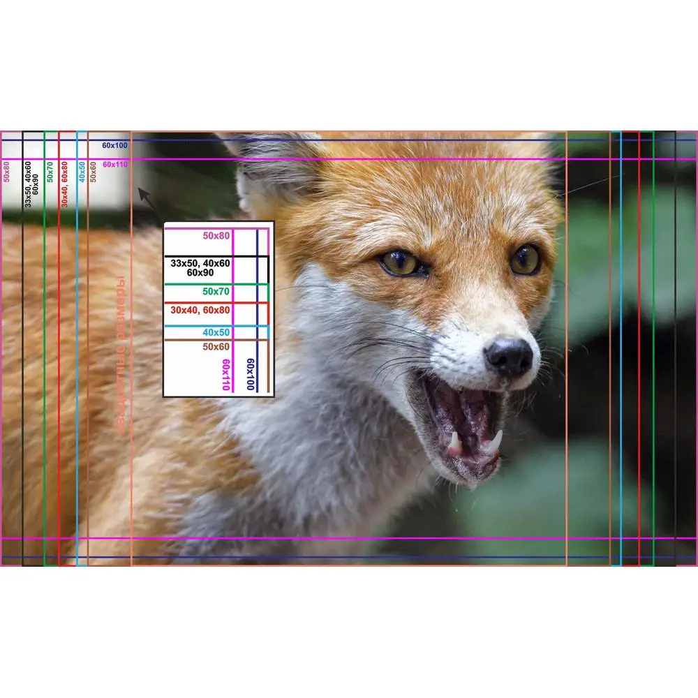 Фото LinxOne постер 