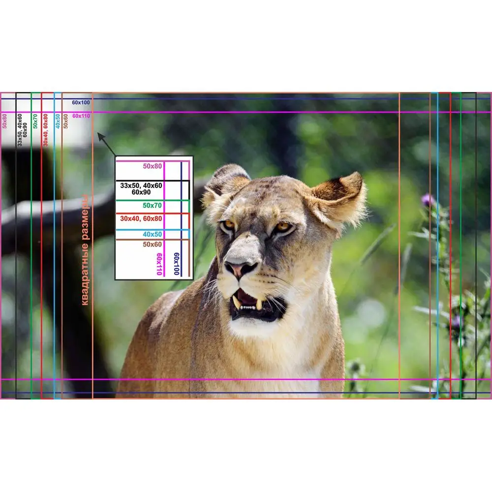 Фото LinxOne постер 