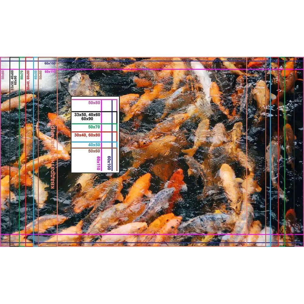 Фото LinxOne постер 