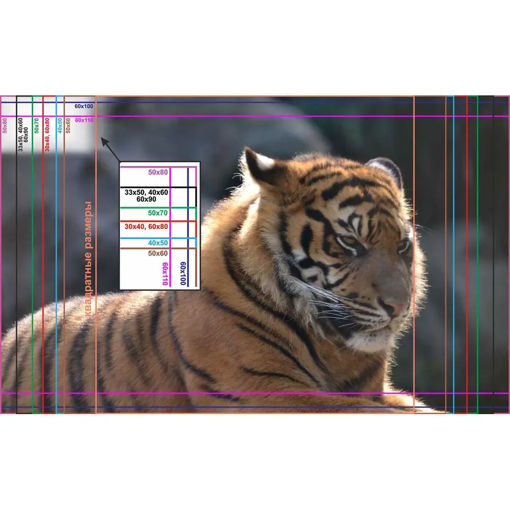 Фото LinxOne постер 