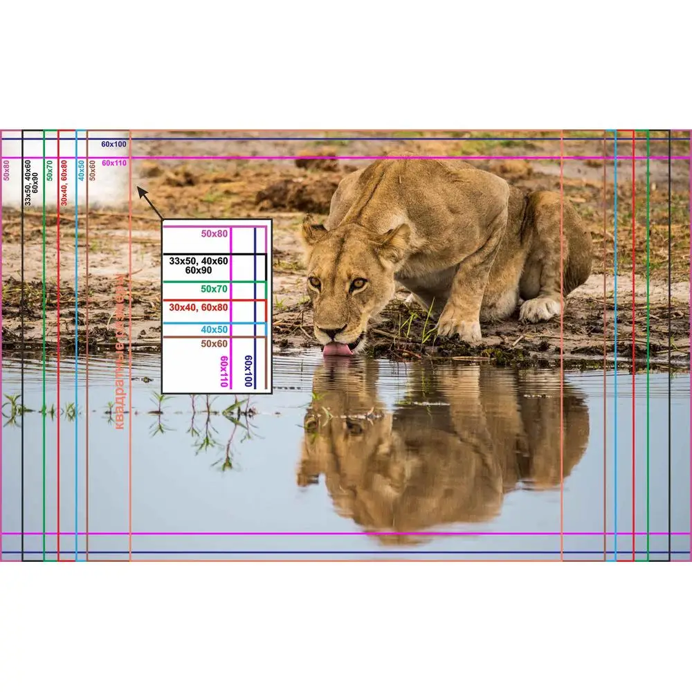 Фото LinxOne постер 