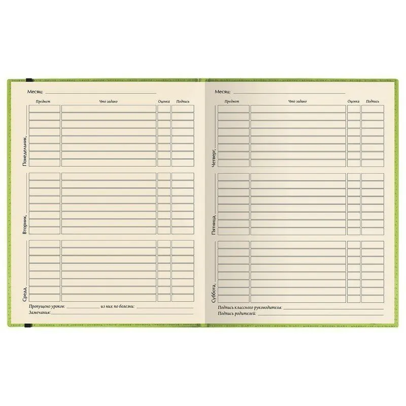 Фото Альт Дневник 1-11 класс, кожзам (лайт), тиснение, резинка, ляссе, 48 л, 