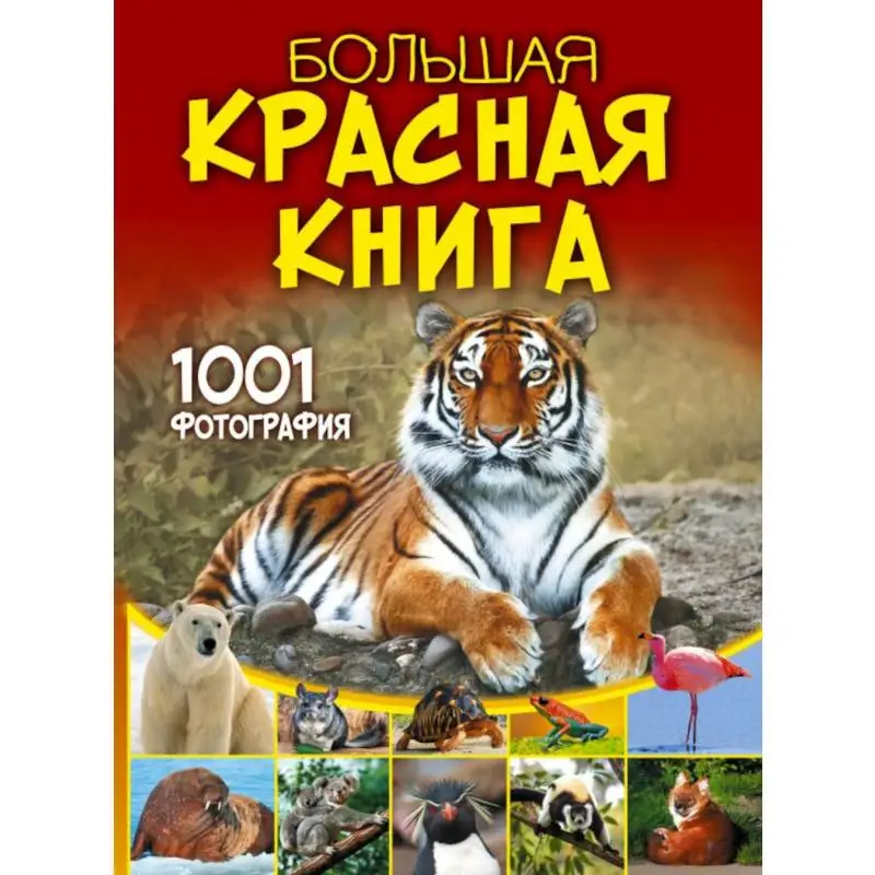 Большая Красная книга. 1001 фотография Спектор Анна Артуровна