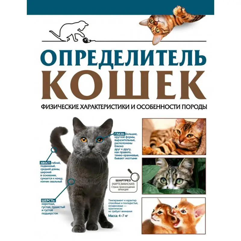 Книга Определитель кошек Спектор Анна Артуровна, Смирнов Дмитрий Сергеевич