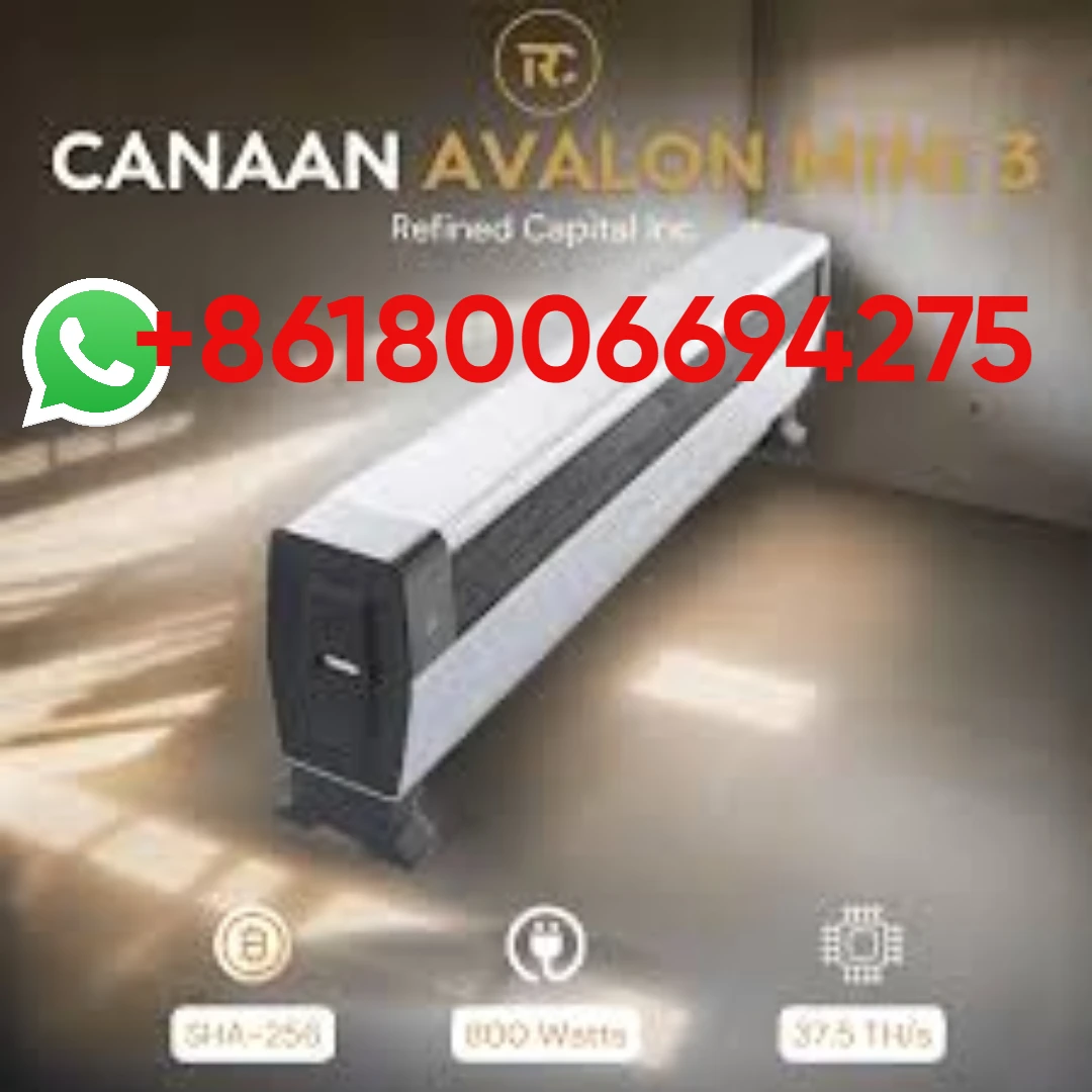 SC В наличии Canaan Avalon Mini 3 37,5 TH/s BTC Bitcoin Miner 800 Вт Solo Mining