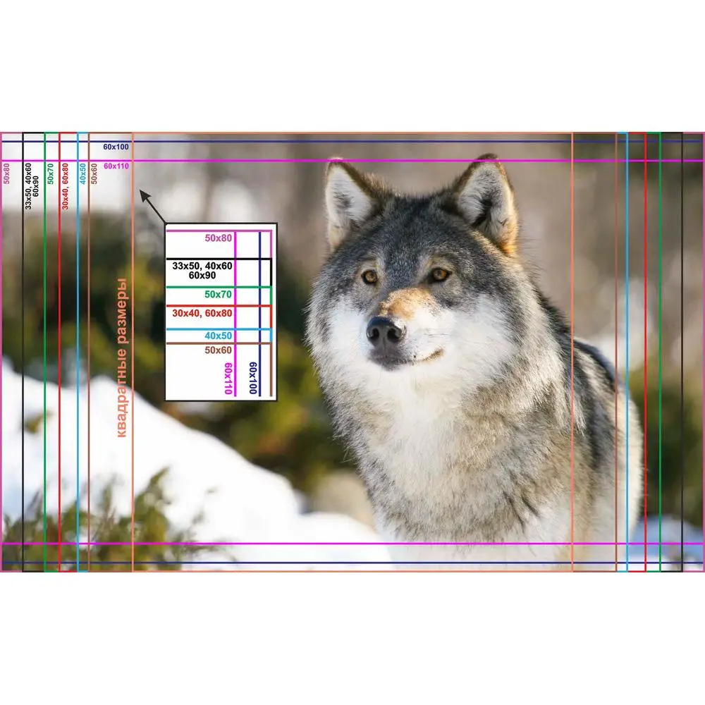 Фото LinxOne постер 