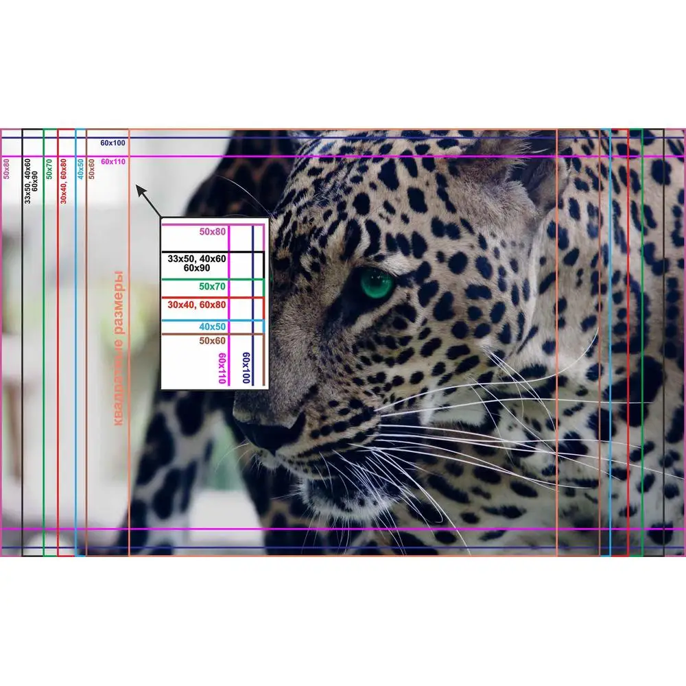 Фото LinxOne постер 