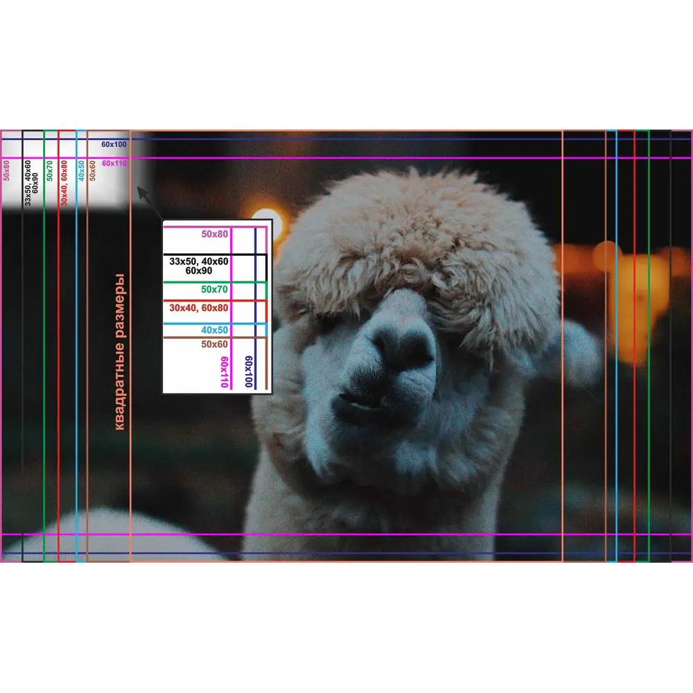 Фото LinxOne постер 