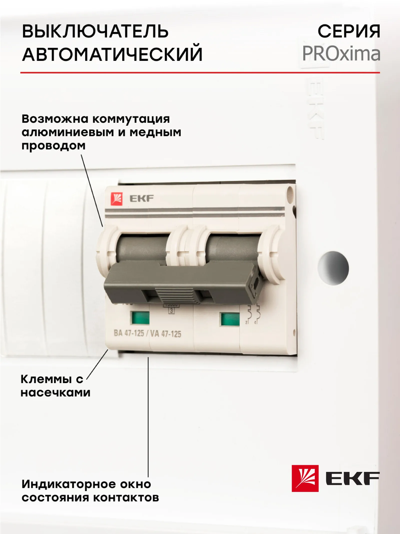 Автоматический выключатель, автомат модульный, EKF PROxima, ВА 47-125, 2P 125A (C) 15kA