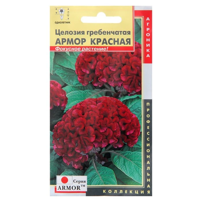Семена цветов Целозия гребенчатая 