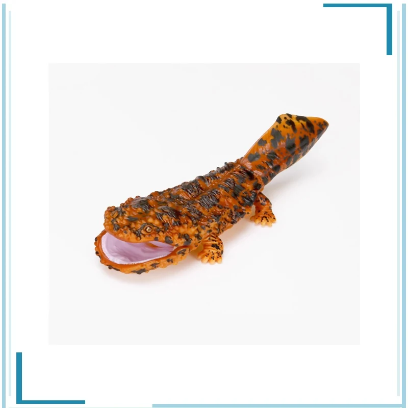 BANDAI Ambystoma Мексиканская биология иллюстрация цинопс китайский гигант Саламандра гасяпон активные шарнирные фигурки модели игрушки