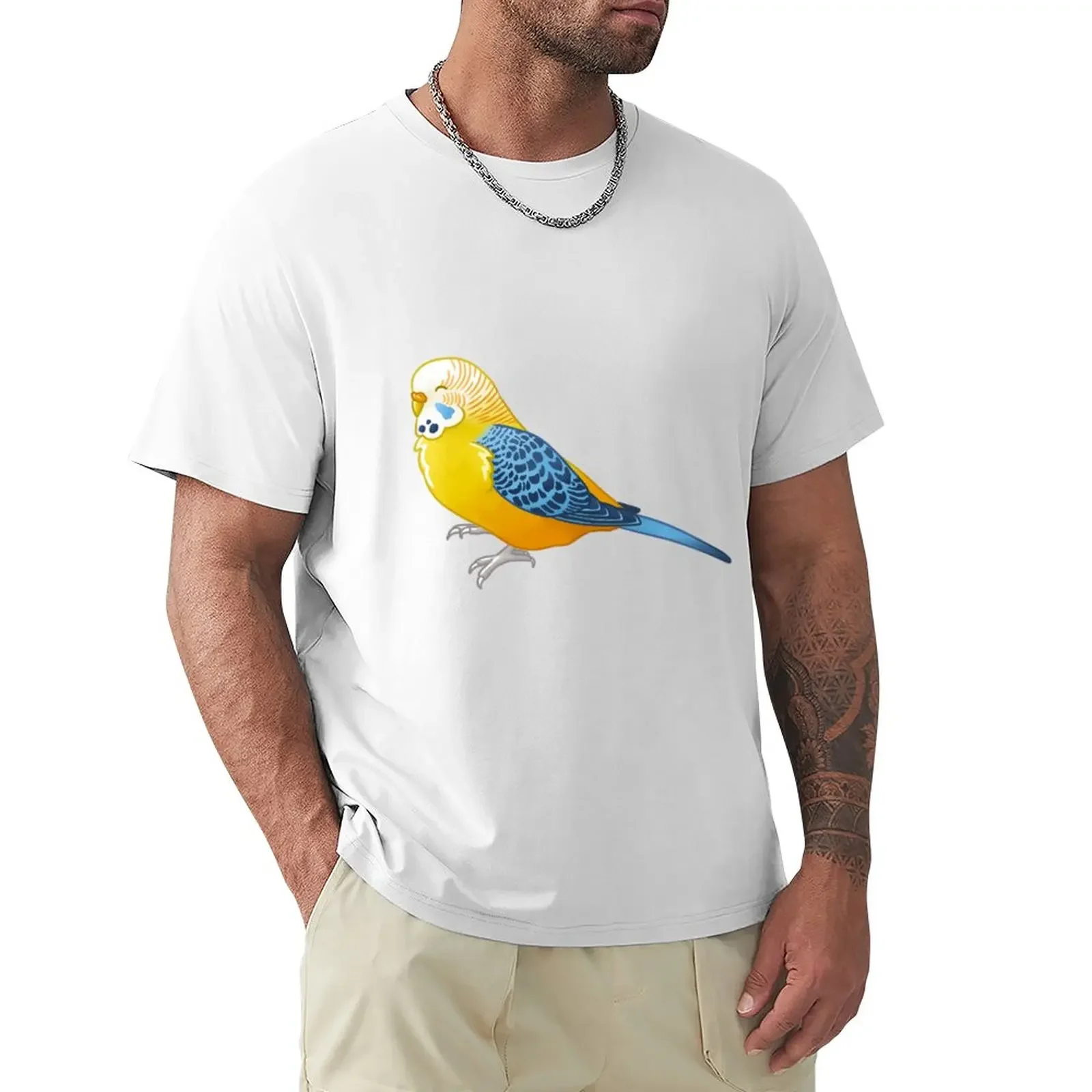 Футболка Aroace Pride Budgie, винтажная графическая Мужская футболка, Повседневная стильная