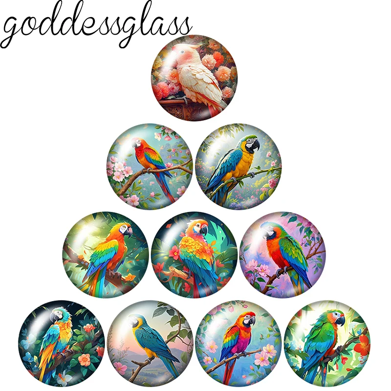 Colorful Cute parrot Birds macaw Love 12mm18mm20mm25mm Round photo glass cabochon flat back Making findings Jewelry (art.: 3920cc686fc68) - 3920cc686fc68