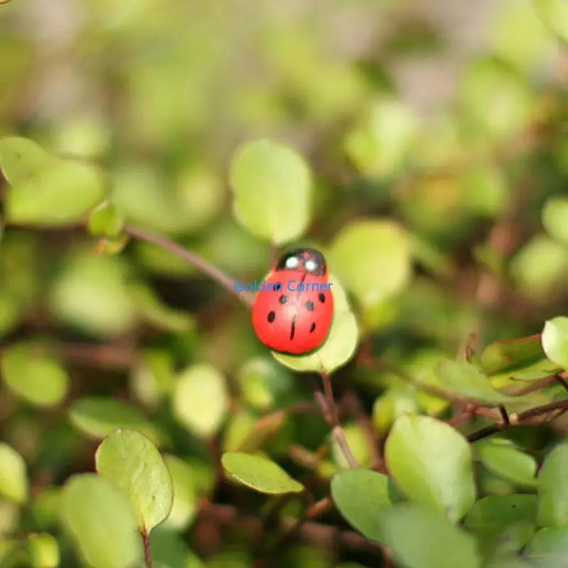 Фото E15d 10pcs Mini Ladybird красная жук №4