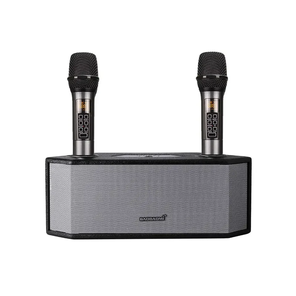 G6 Karaoke Active DSP Портативный беспроводной громкий динамик BT с микрофоном и микрофоном