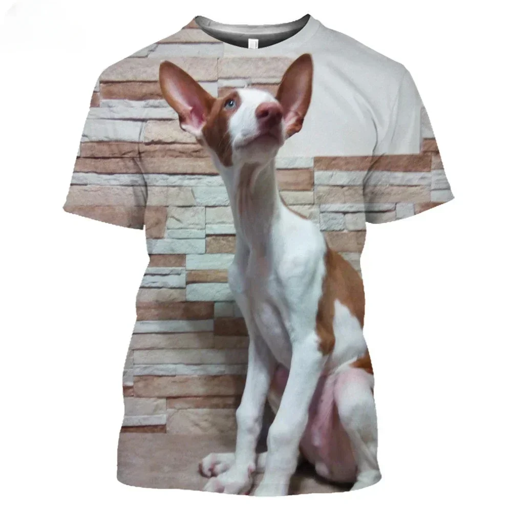 Фото 2024 модная 3D футболка Ibizan Hound Dog Hunting, Мужская Женская Подростковая летняя футболка Harajuku с коротким рукавом №1