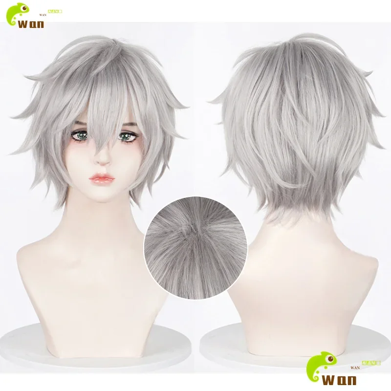 Парик для косплея EVA Nagisa Kaworu, 25 см, короткие серые парики для мужчин и женщин, косплей, аниме, парики для косплея, термостойкие синтетические волосы