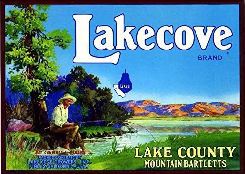 TYmall Настенное искусство Finley Lake County California Lakecove Pear Fruit Crate Label Art Print Металлическая жестяная вывеска Декор дома Подарок 8X12 Inc