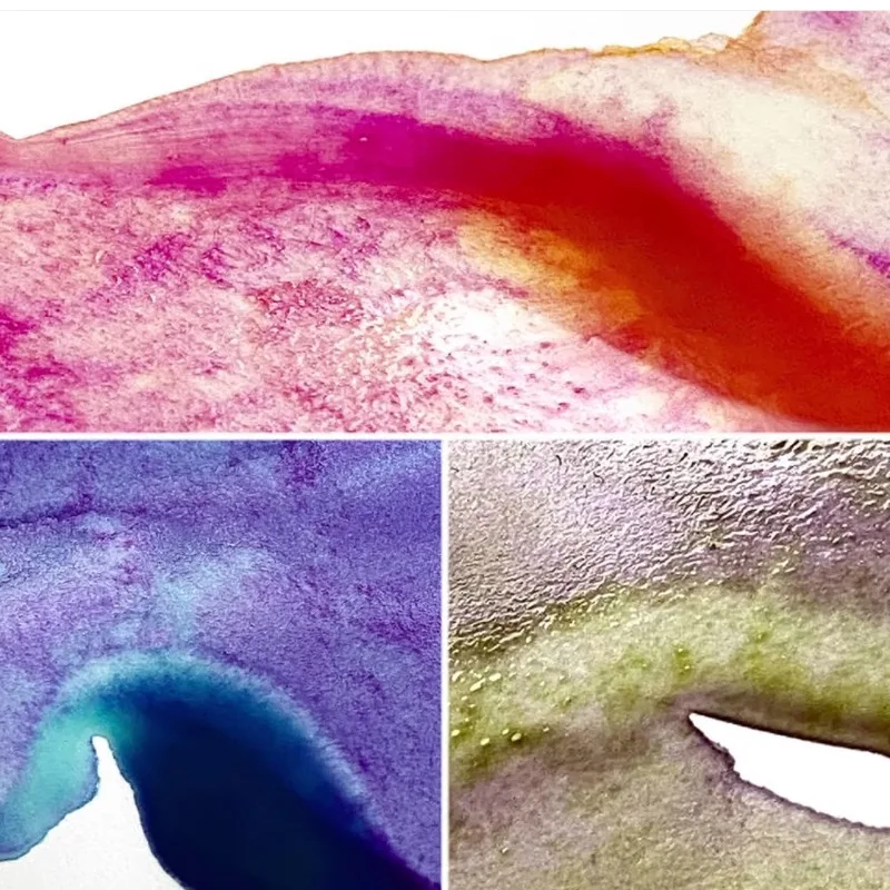Фото Kuretake GANSAI TAMBI GRANULATING COLOR 2, однотонные акварельные пигменты для студентов, портативные наборы пигментов для рисования на открытом воздухе №4
