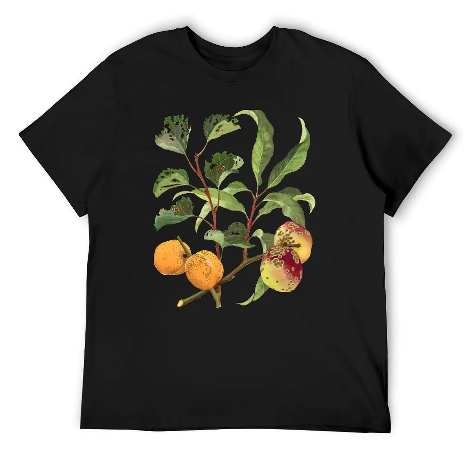 Футболка Shot-Hole and Freckle of Stone Fruit - (вызов) с фигурками аниме, летние топы, мужская одежда