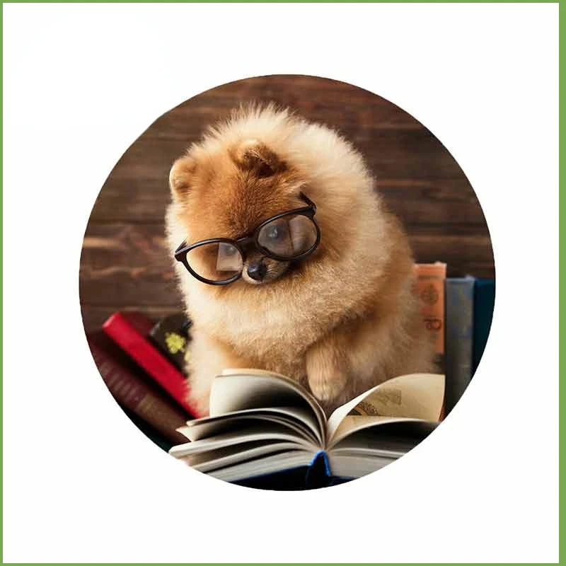 13 см, 1 шт., для чтения книги с Померанской собакой, DIY аниме модные наклейки с окклюзией, царапинами, фургоном, внедорожником
