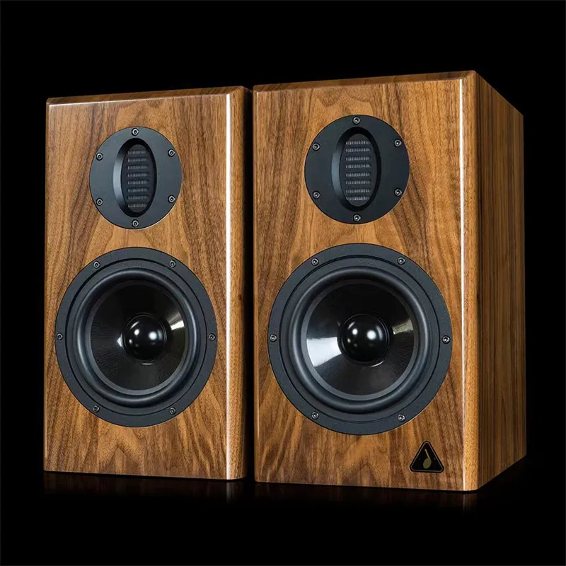 Фото BZ-02 AURUM CANTUS A6M Пневматический твитер Электронный кроссовер Двуусилитель HiFi Высококачественный активный динамик №3