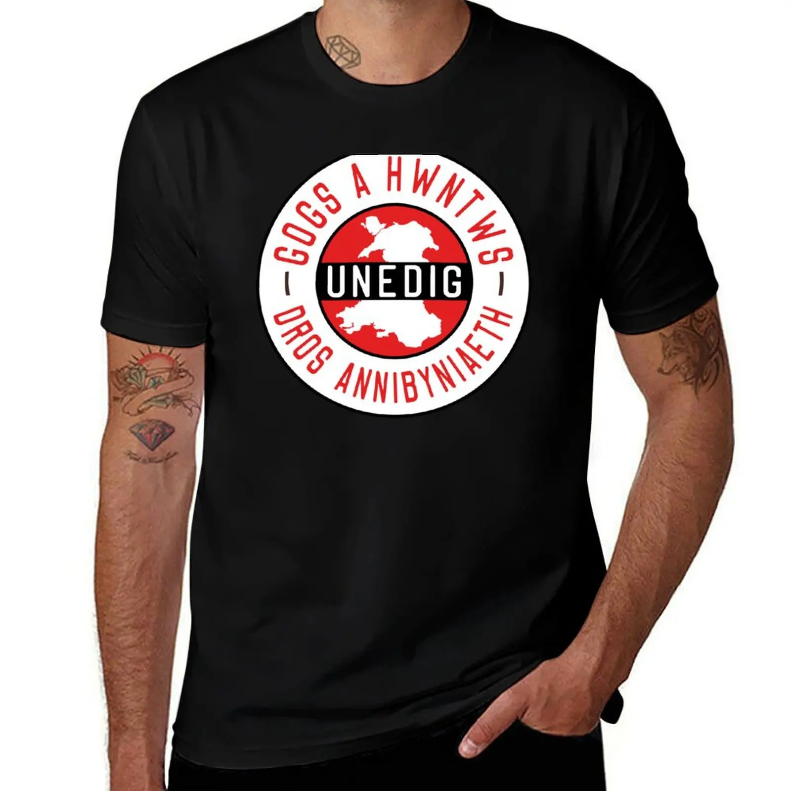 Gogs A Hwntws Unedig Dros Annibyn Uwagi, IndyWales футболка одежда милая одежда корейские модные футболки для мужчин хлопок