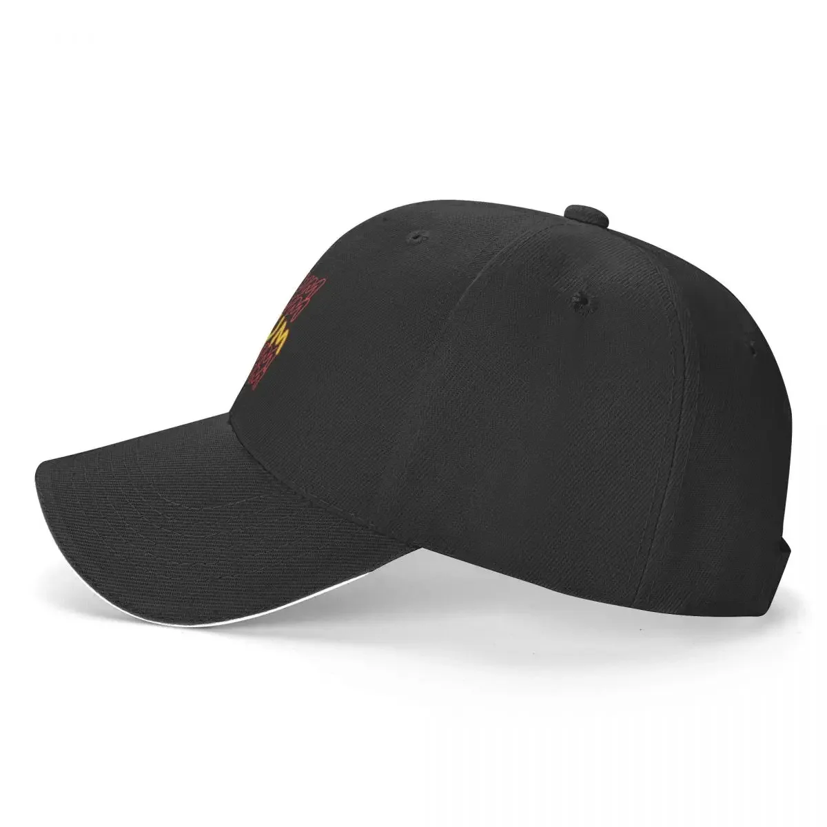 Фото Ern design (Black) - Singer Anir Vissreat?ilig Lees Tour - Anir Viss ddy Fag Baseball Cap New In Hat Golf Luxury Hat Мужчины Женщины №3