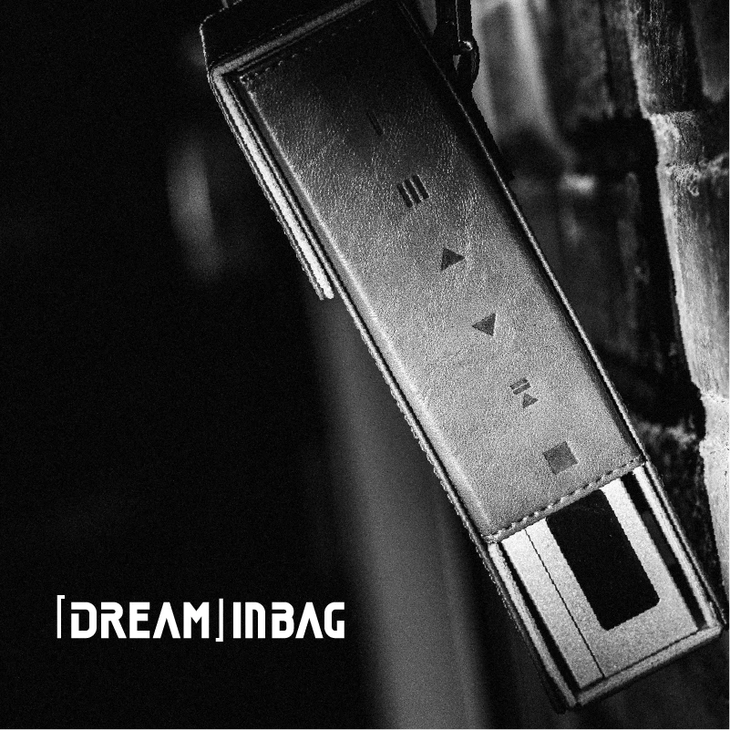 Фото Защитный чехол MOONDROP INBAG для Discdream серии 2. №5