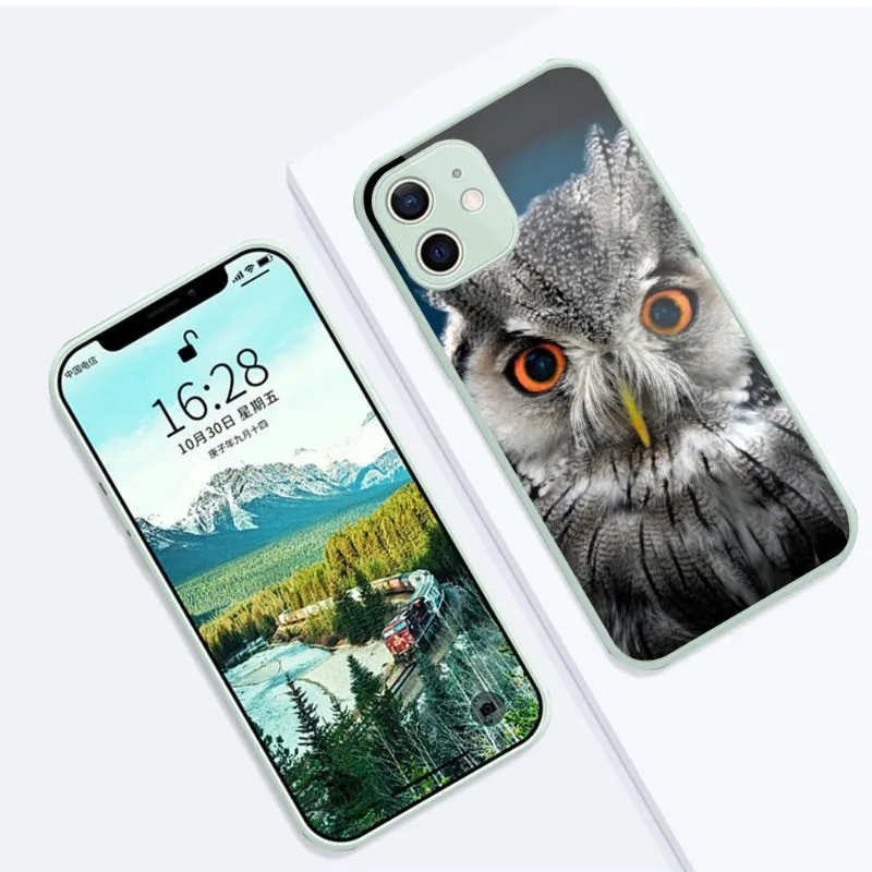 Фото Чехол Hawks для телефона iPhone 14 13 12 11 Pro Max X XR XS 8 7 Plus, чехол для телефона из жидкого стекла №5