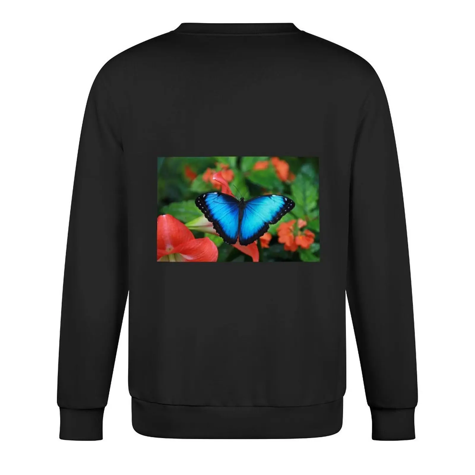 Фото Синий пуловер с бабочкой Morpho, блузка, футболки с рисунком, мужская одежда, мужская одежда, толстовки №3