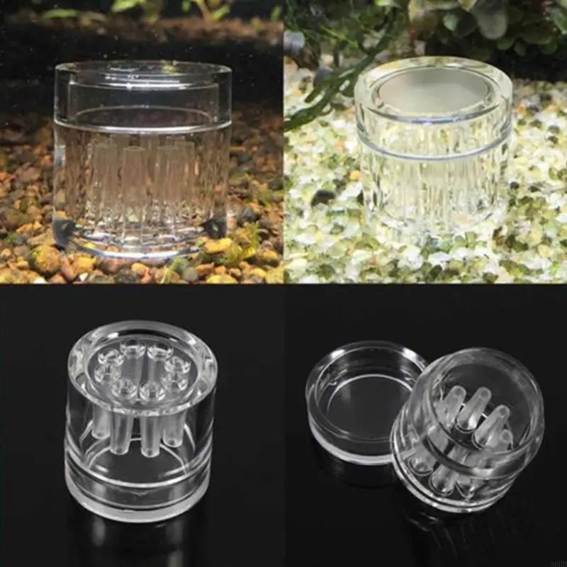 Фото A6HD Planarian Trap Leatches Catcher Catcher Troaps для креветочных рыб для танкового аквариума поставляет прозрачный акрил в №5
