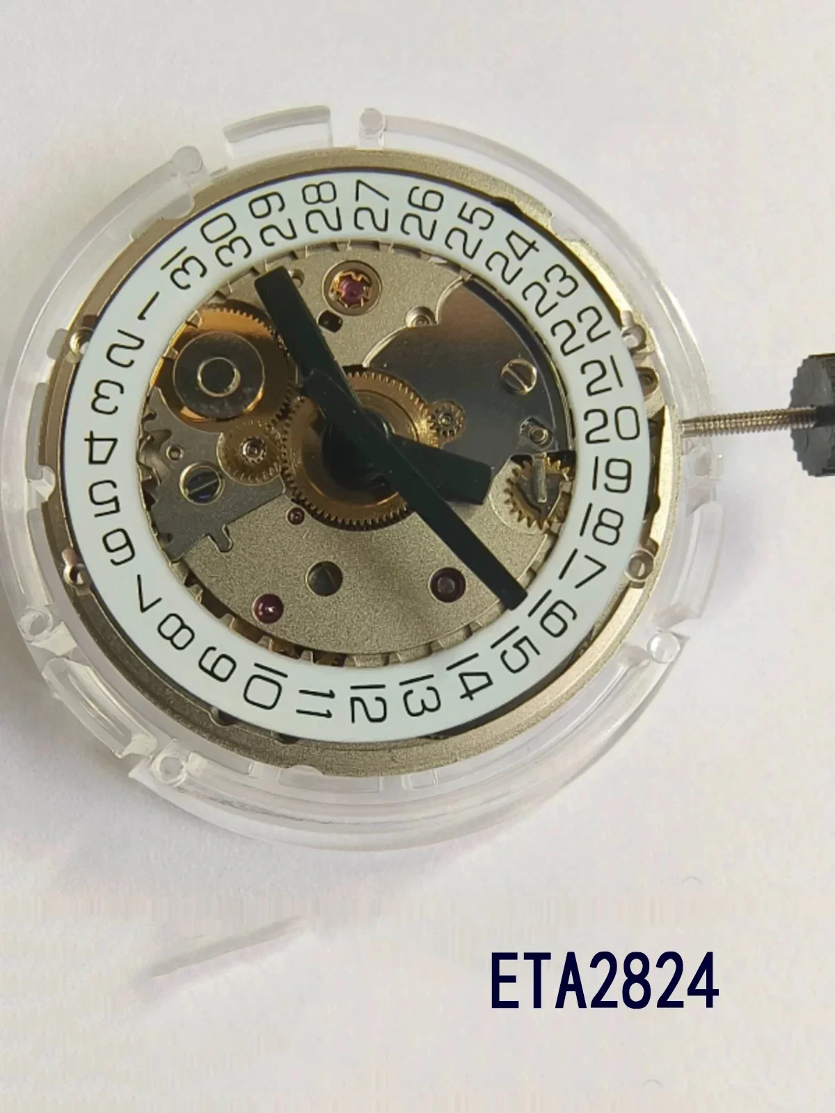 Тяньцзинь Чайка Мань 282428362834   движение нового механизма ST2130 Тяньцзинь 2824 с гравировкой