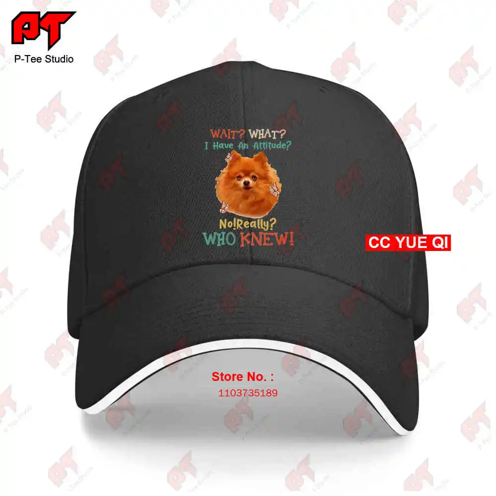 Немецкие бейсболки Spitz Кепка-грузовик BRVN