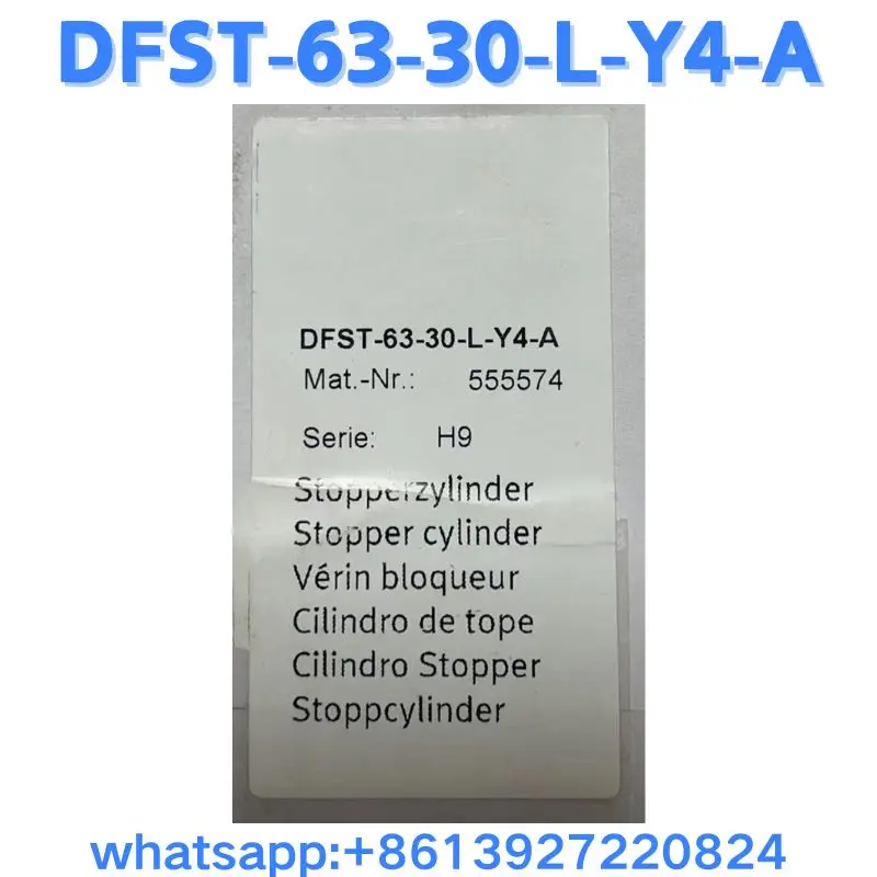 Новый цилиндр DFST-63-30-L-Y4-A 555574 Оригинальная быстрая доставка
