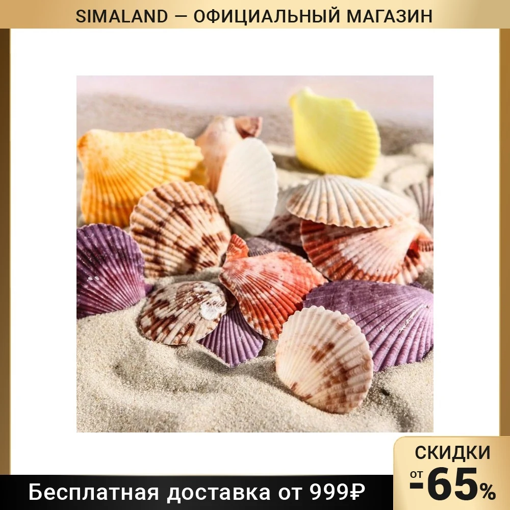 Набор ракушек Пектен Вексиллум средние, 4 - 6 см, 100 г