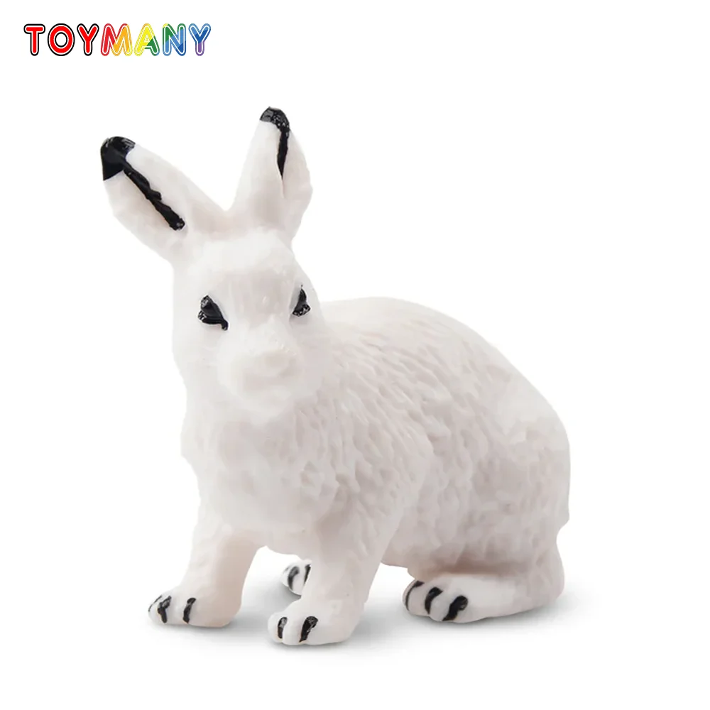 Toymany Моделирование Арктический Заяц Полярная Модель Животного Игрушка Мини Фигурки Куклы Фигурки Игрушки Детский Подарок Украшение Торта