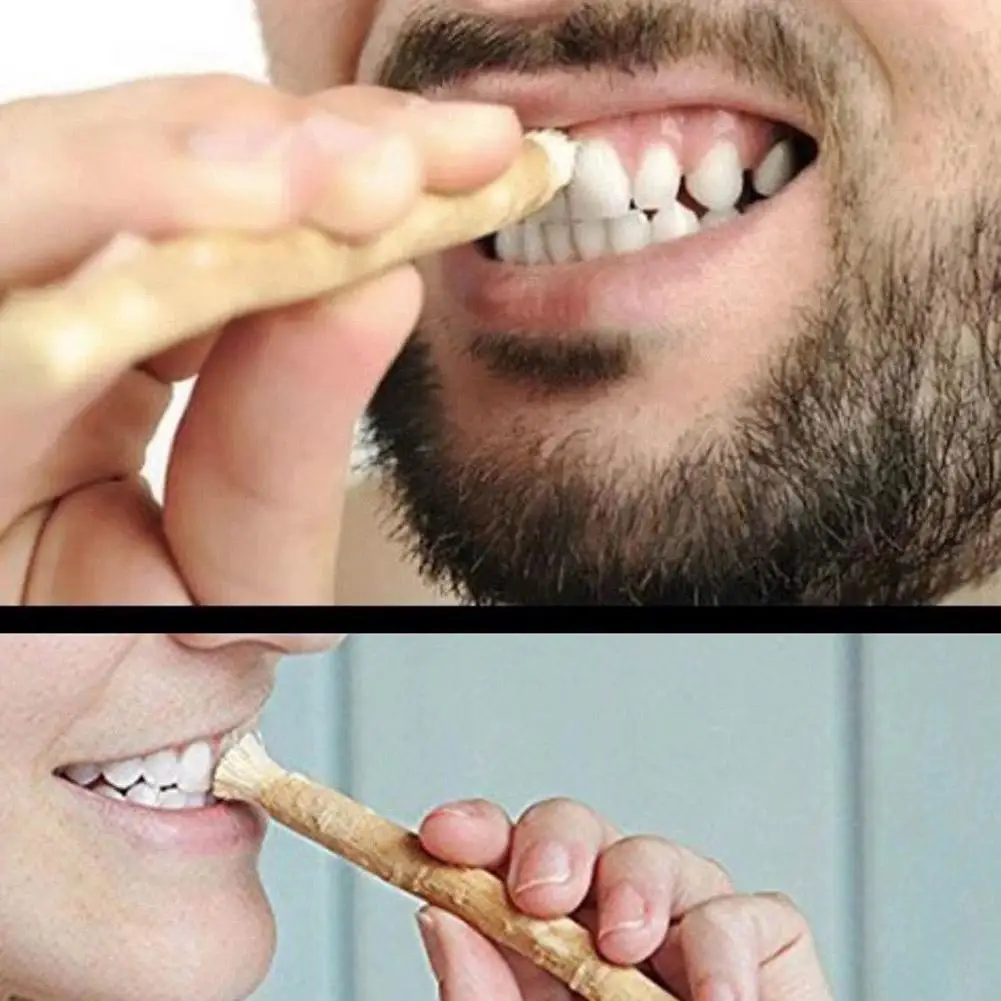 Фото Натуральная зубная щетка Miswak Siwak, традиционное отбеливание, дорожная зубная щетка Arak, ручная мягкая зубная щетка Miswaak Y1Q4 №4