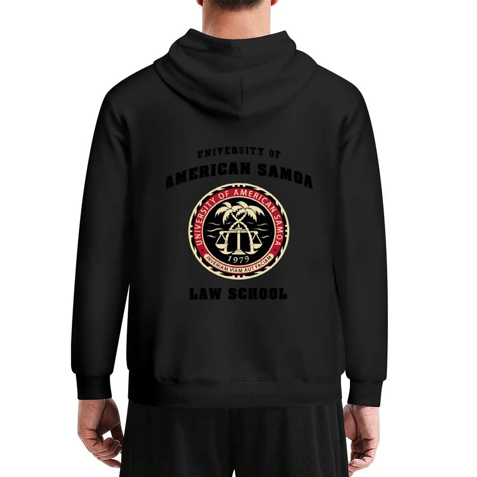 BCS - Толстовка с капюшоном University of American Samoa Law School Essential, осенняя куртка, мужская одежда в корейском стиле, новые толстовки